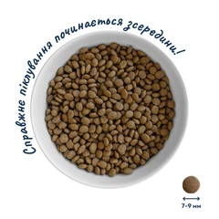 Home Food Корм з риба індичка лосось для дорослих собак мініатюрних порід