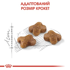 Royal Canin Корм з куркою для кошенят