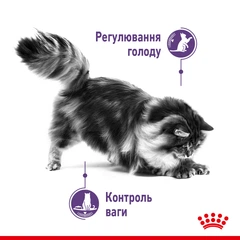 Royal Canin Корм з куркою для котів