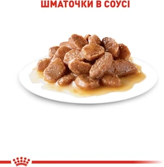 Royal Canin Вологий корм (шматочки в соусі) з м'ясо та м'ясні субпродукти для дорослих котів