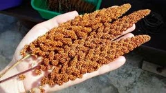 Ecofood Ласощі для hamster
