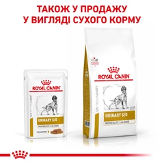 Royal Canin Корм для собак