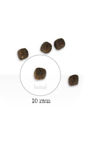 Natyka Gourmet Adult Small Dogs