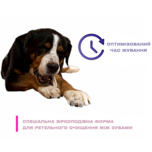 Prozym RF2 Dental Sticks L Жувальні палички для собак великих порід