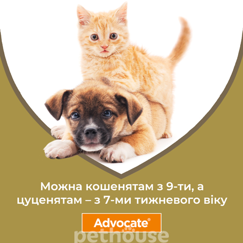 Advocate для котів від 4 до 8 кг
