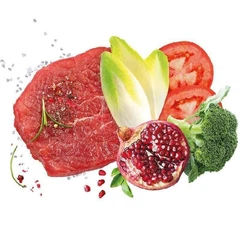 Exclusion Adult Beef Medium Breed – Сухий монопротеїновий корм з яловичиною для дорослих собак середніх порід 12 кг.