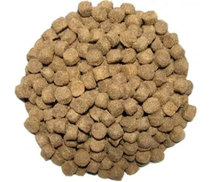 Thank’Q Корм для собак Thank`Q Beef Flavor зі смаком ягня 20 кг