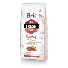 Корм сухий Brit Fresh Beef/Pumpkin Puppy Large для цуценят та молодих собак великих порід з яловичиною та гарбузом 12 кг (8595602530755)