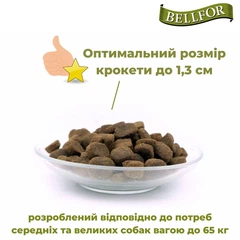 Сухий беззерновий корм для собак на основі Білка комах Bellfor Insect Landgut Schmaus Hypoallergenic 2,5 кг