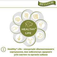 Сухий беззерновий корм для собак на основі Білка комах Bellfor Insect Landgut Schmaus Hypoallergenic 2,5 кг