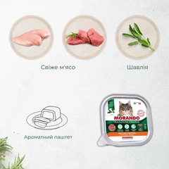 Morando Корм для котів