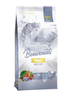 Benvenuti Корм для дорослих собак