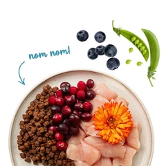 Sanabelle Корм для кошенят