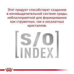 Royal Canin корм GASTRO INTESTINAL CAT при захворюваннях шлунково-кишкового тракту 4 кг