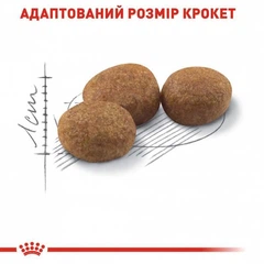 Royal Canin Корм для дорослих собак