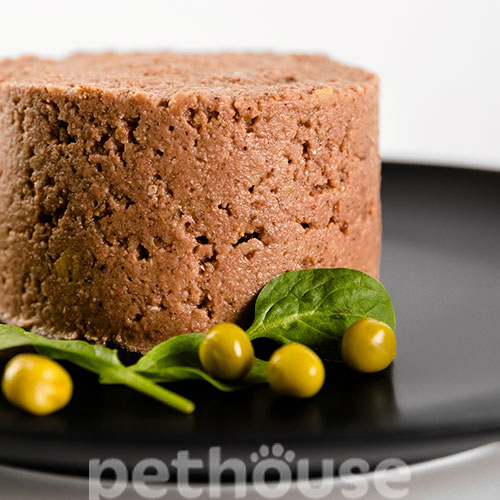 Savory Dog Adult Turkey