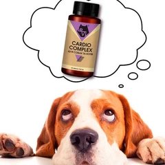 Кардіо комплекс для собак та котів LeVi 500 mg 60 таблеток