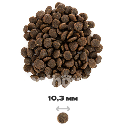Brit Care Mini Grain Free Yorkshire - Сухий беззерновий корм з лососем і тунцем для собак породи йоркширський тер'єр