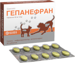 Veda Гепанефран 20мг гепатонефропротект, антиоксидант, 30 таблеток БХФЗ