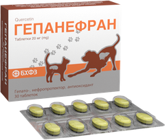 Veda Гепанефран 20мг гепатонефропротект, антиоксидант, 30 таблеток БХФЗ