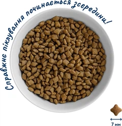 Home Food Корм для дорослих собак