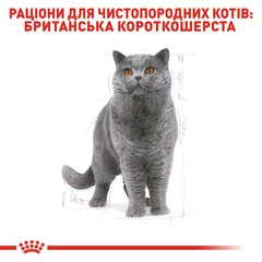 Royal Canin Корм з куркою для дорослих котів