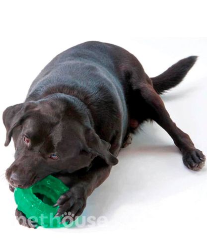 Petstages Orka Tire Pet Іграшка "Колесо" для собак