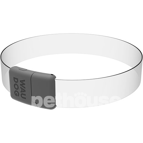 WauDog LED RGB Нашийник для собак з підсвічуванням, регульований