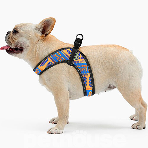 HiDog Comfort Нейлонова шлея "Колосок" для собак