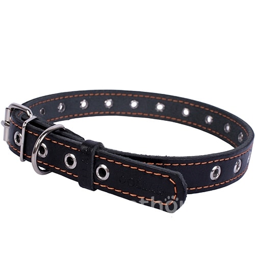 Collar Нашийник безрозмірний для собак, чорний