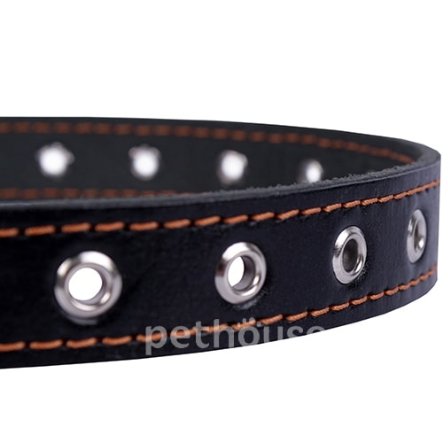 Collar Нашийник безрозмірний для собак, чорний