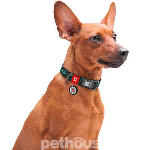 WauDog Nylon Нейлоновий нашийник "Луска" з QR-паспортом для собак
