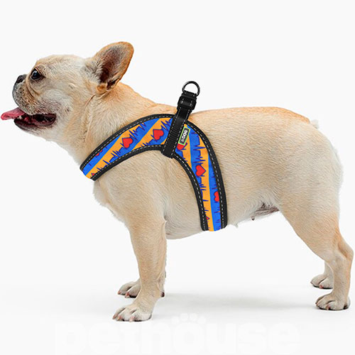 HiDog Comfort Нейлонова шлея "Життя" для собак