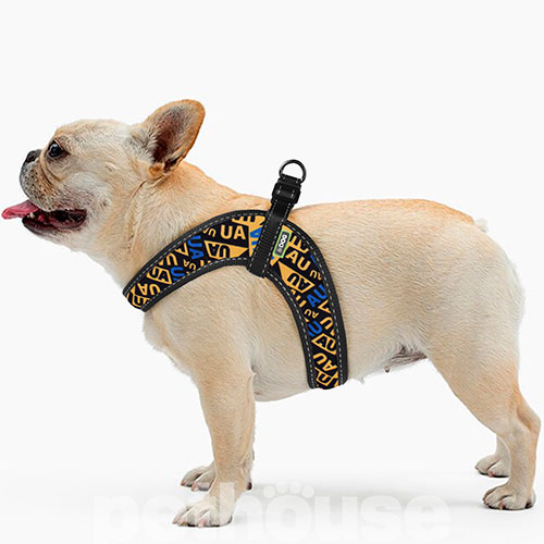 HiDog Comfort Нейлонова шлея "Молодіжний" для собак