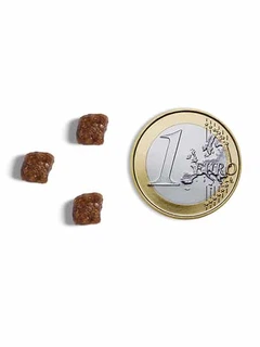 Ambrosia Корм з курка індичка для кошенят