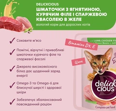 Delickcious Вологий корм (шматочки в желе) для дорослих собак