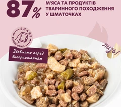 Delickcious Вологий корм (шматочки в желе) для дорослих собак
