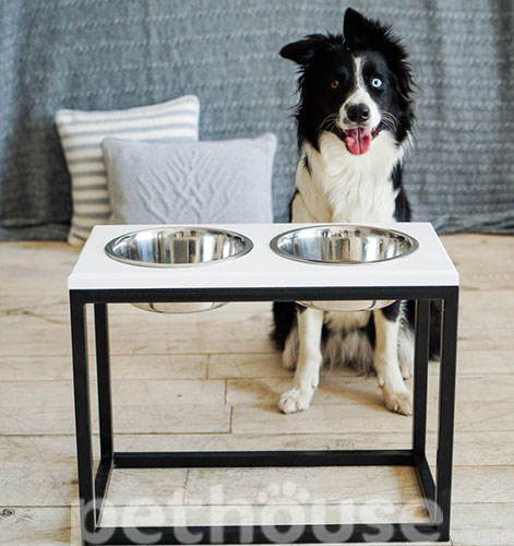 Harley and Cho Миски на підставці Lunch Bar White wood + Black