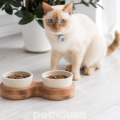 PetJoy Миски керамічні на підставці Brown Beige