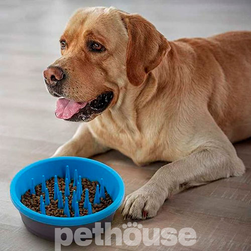 Dexas Slow Feeder Dog Bowl Миска-лабіринт для собак
