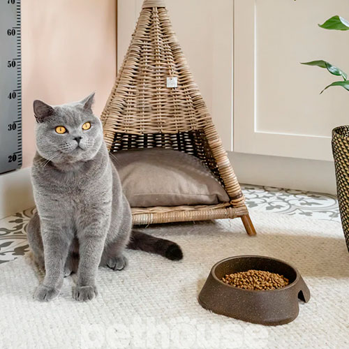 Fiboo ECO Bowl L Миска з антиковзними накладками для котів і собак, 700 мл