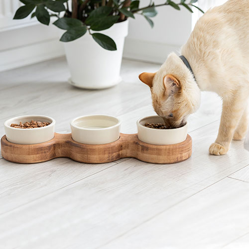PetJoy Три миски керамічні на підставці Brown Beige