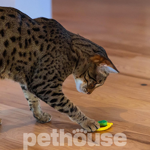 Catstages Lemon Teether Yellow Іграшка для жування "Лимон" для котів