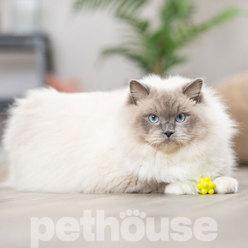 Trixie Іграшка ''Молекула'' для котів