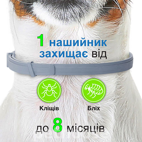 Foresto нашийник 38 см