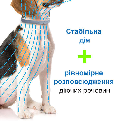 Foresto нашийник 38 см