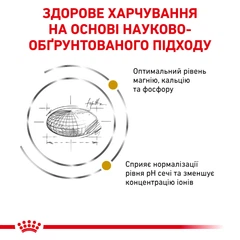 Royal Canin Urinary S/O - Ветеринарна дієта для кішок при захворюваннях сечовидільної системи