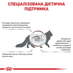 Royal Canin Gastrointestinal Cat - Ветеринарна дієта для кішок при порушеннях травлення