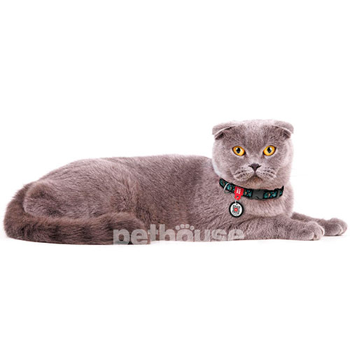 WauDog Nylon Нейлоновий нашийник "Луска" з QR-паспортом для котів і собак