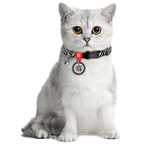 WauCat Nylon Нейлоновий нашийник "Зебра" з QR-паспортом для котів